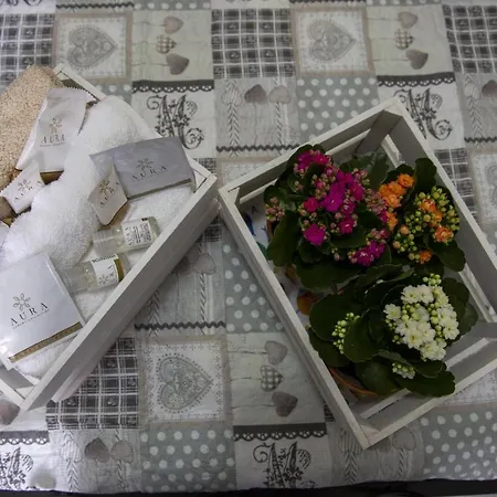 L'alpino Bed and Breakfast Σουλμόνα