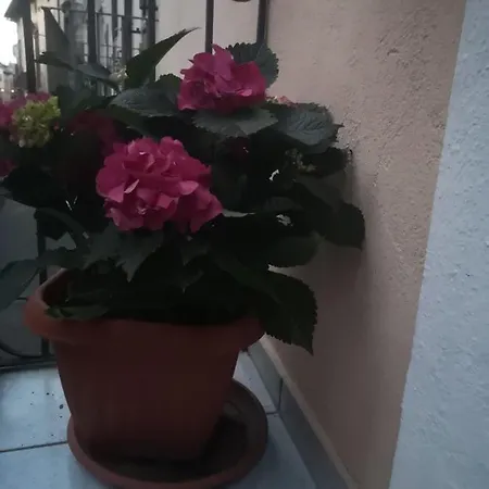 L'alpino Σουλμόνα