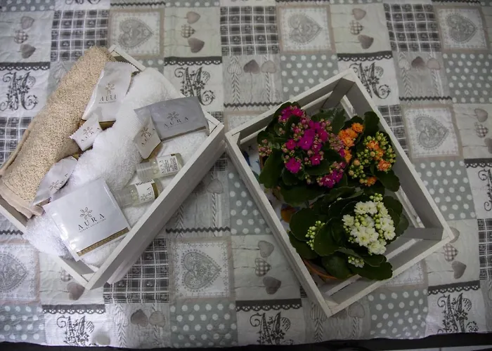 L'alpino לינה וארוחת בוקר סולמונה